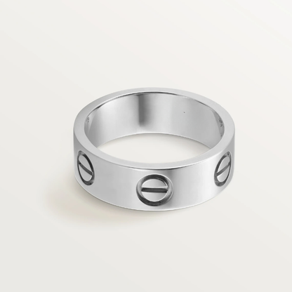 VINCULUM CLASSIC BAND Silver